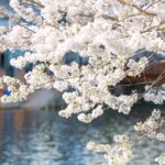 4月
